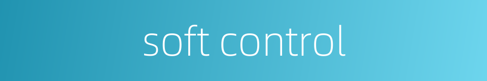 soft control的同义词