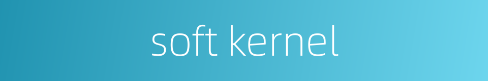 soft kernel的同义词