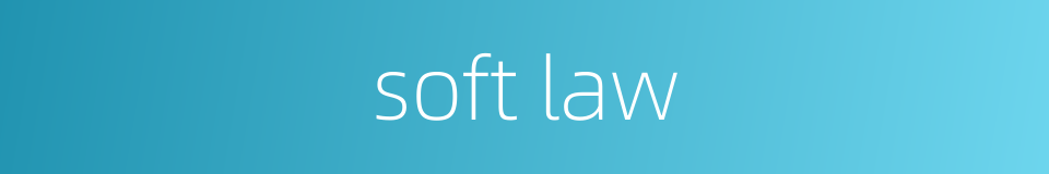 soft law的同义词