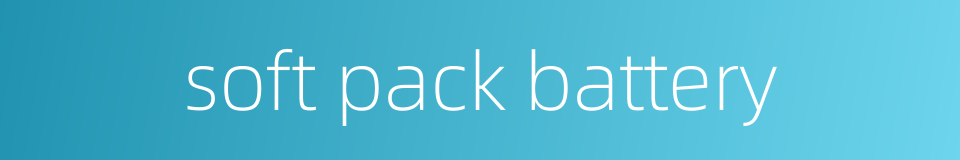 soft pack battery的同义词