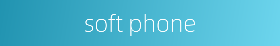 soft phone的同义词