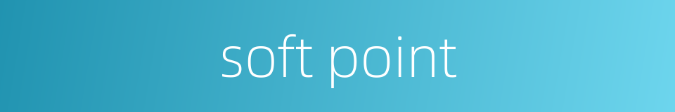 soft point的同义词