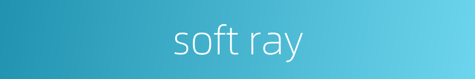 soft ray的同义词