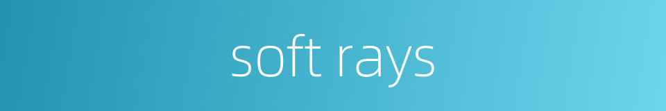 soft rays的同义词