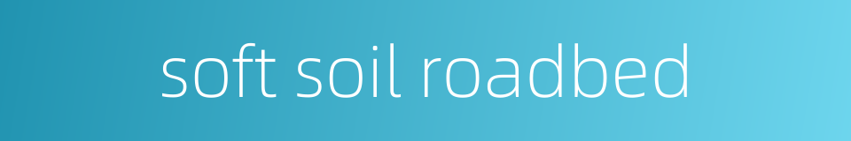 soft soil roadbed的同义词