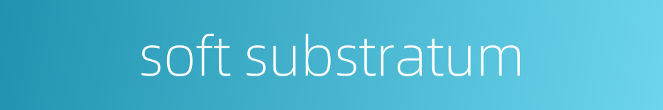 soft substratum的同义词