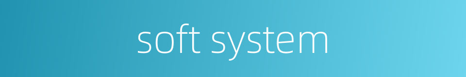 soft system的同义词