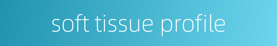 soft tissue profile的同义词