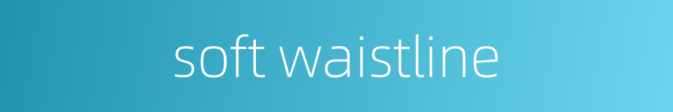 soft waistline的同义词