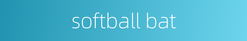 softball bat的同义词