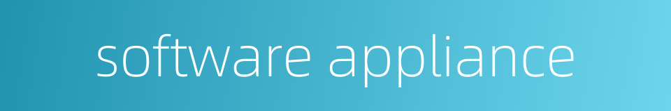 software appliance的同义词