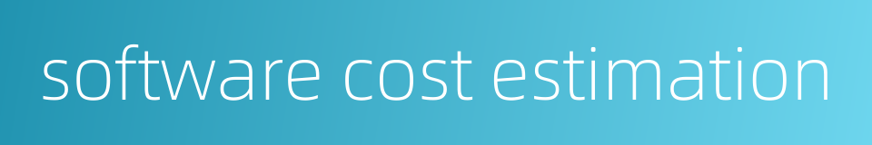 software cost estimation的同义词