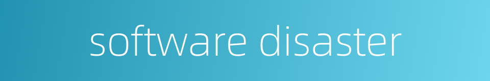 software disaster的同义词