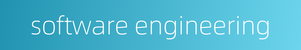 software engineering的同义词