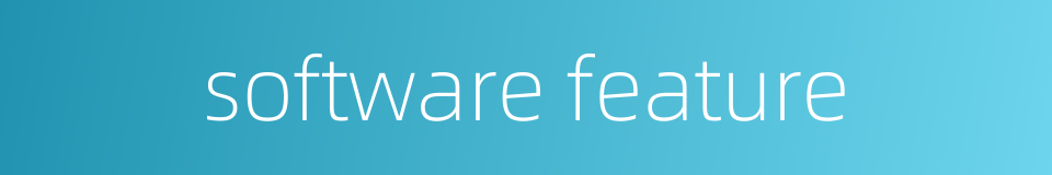 software feature的同义词