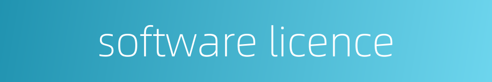 software licence的同义词