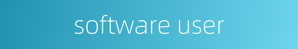 software user的同义词