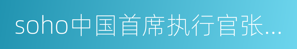 soho中国首席执行官张欣的同义词