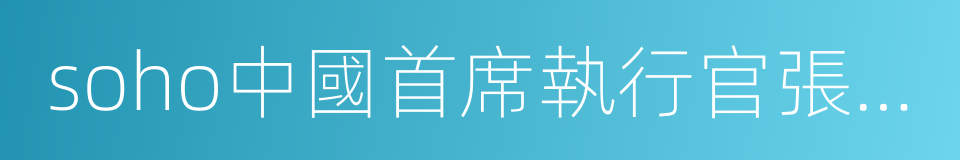 soho中國首席執行官張欣的同義詞