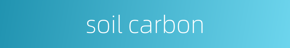 soil carbon的同义词