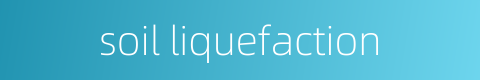 soil liquefaction的同义词