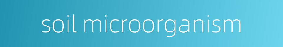 soil microorganism的同义词