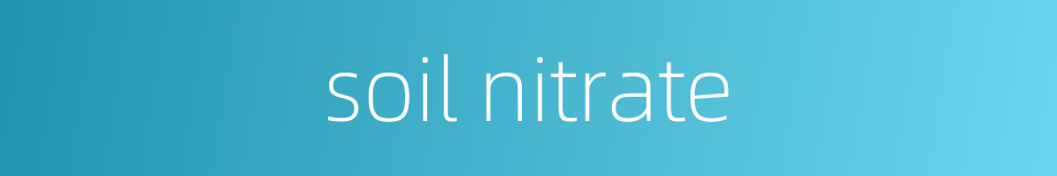 soil nitrate的同义词