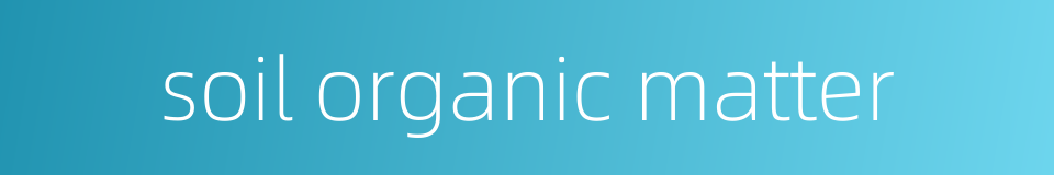 soil organic matter的同义词