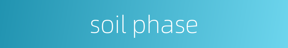 soil phase的同义词