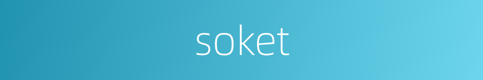 soket的同义词