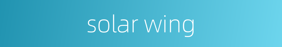 solar wing的同义词