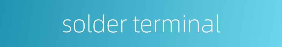 solder terminal的同义词