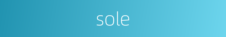 sole的同义词