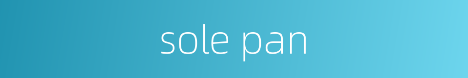 sole pan的同义词