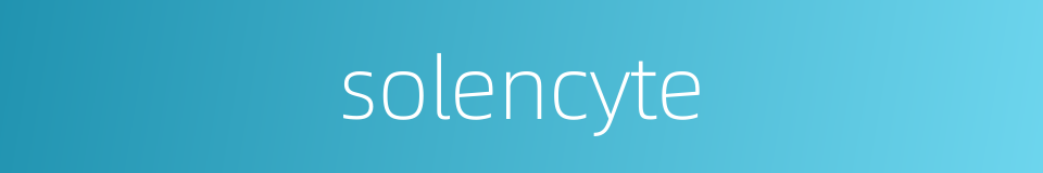 solencyte的同义词