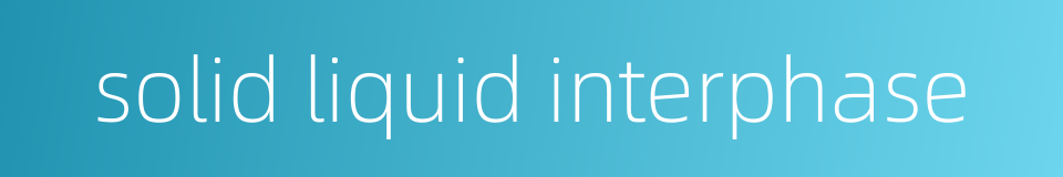 solid liquid interphase的同义词
