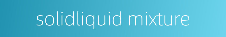 solidliquid mixture的同义词