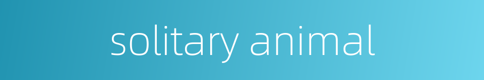 solitary animal的同义词