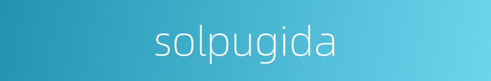 solpugida的同义词