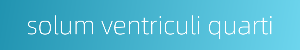 solum ventriculi quarti的同义词