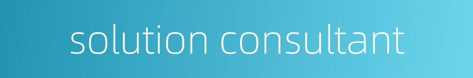 solution consultant的同义词