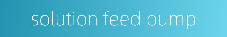 solution feed pump的同义词