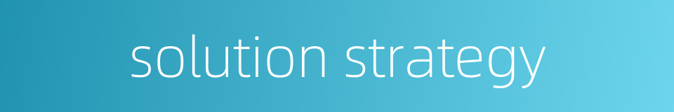 solution strategy的同义词