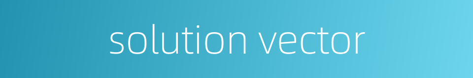 solution vector的同义词