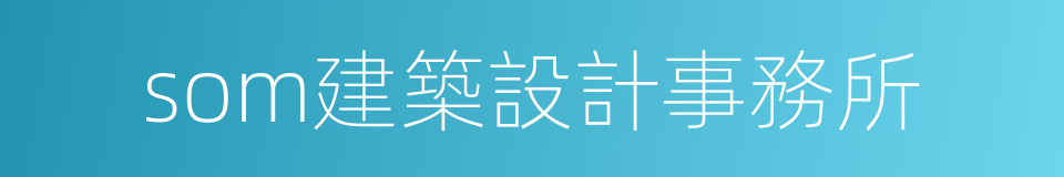 som建築設計事務所的同義詞