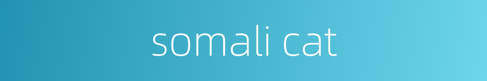 somali cat的同义词
