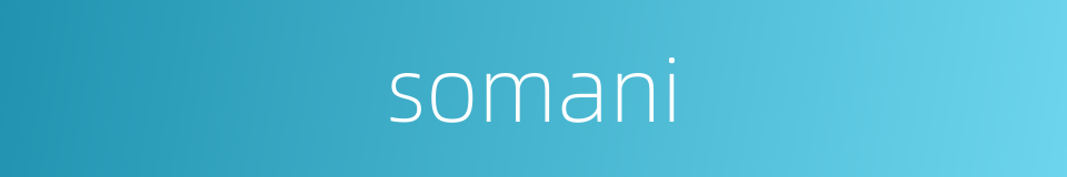 somani的同义词