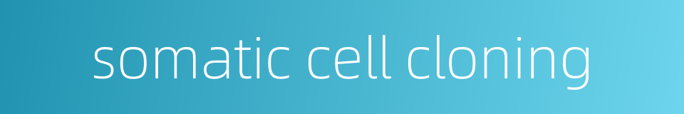 somatic cell cloning的同义词