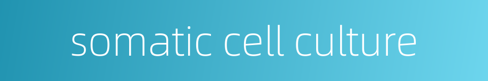 somatic cell culture的同义词