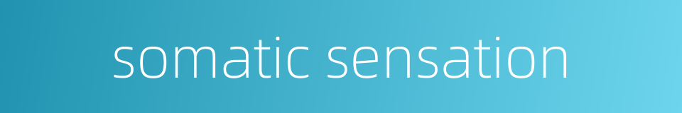somatic sensation的同义词